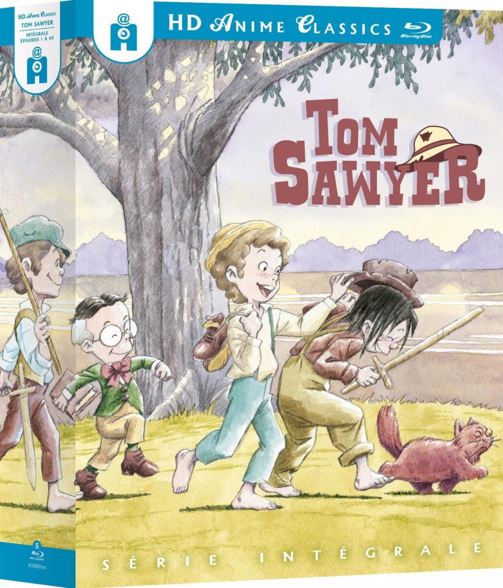 Las Aventuras De Tom Sawyer Personajes Principales Y Secundarios