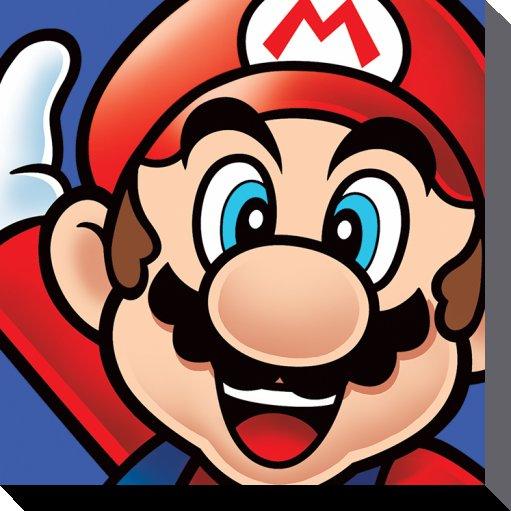 NINTENDO Canvas 40X40 '38mm' Super Mario Mario