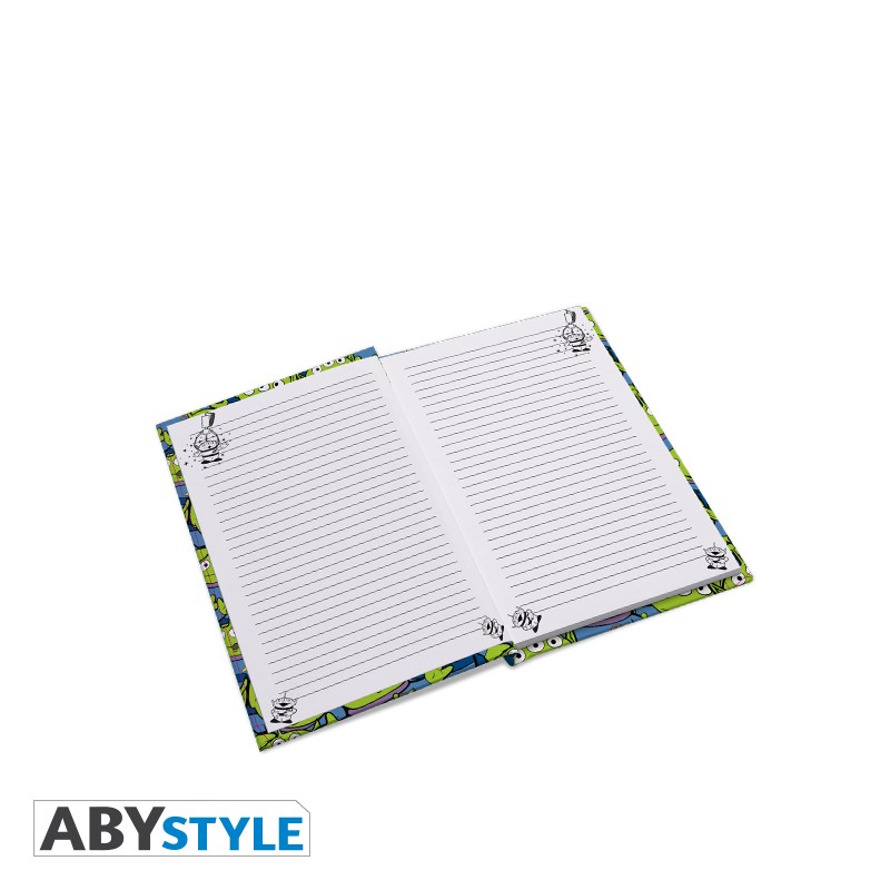 Image agrandie