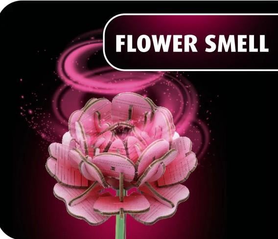 WOODEN FLOWER - Flower Garden - 181pc - 3
