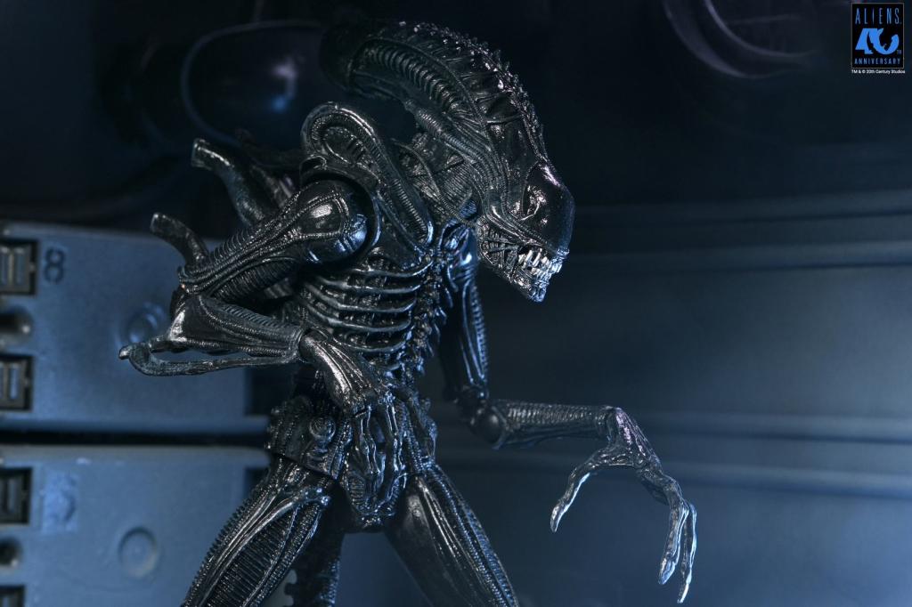 ALIENS 40TH ANNIVERSARY - Warrior Alien Black - Figure Ultimate 23cm - 2