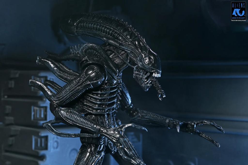 ALIENS 40TH ANNIVERSARY - Warrior Alien Black - Figure Ultimate 23cm - 3