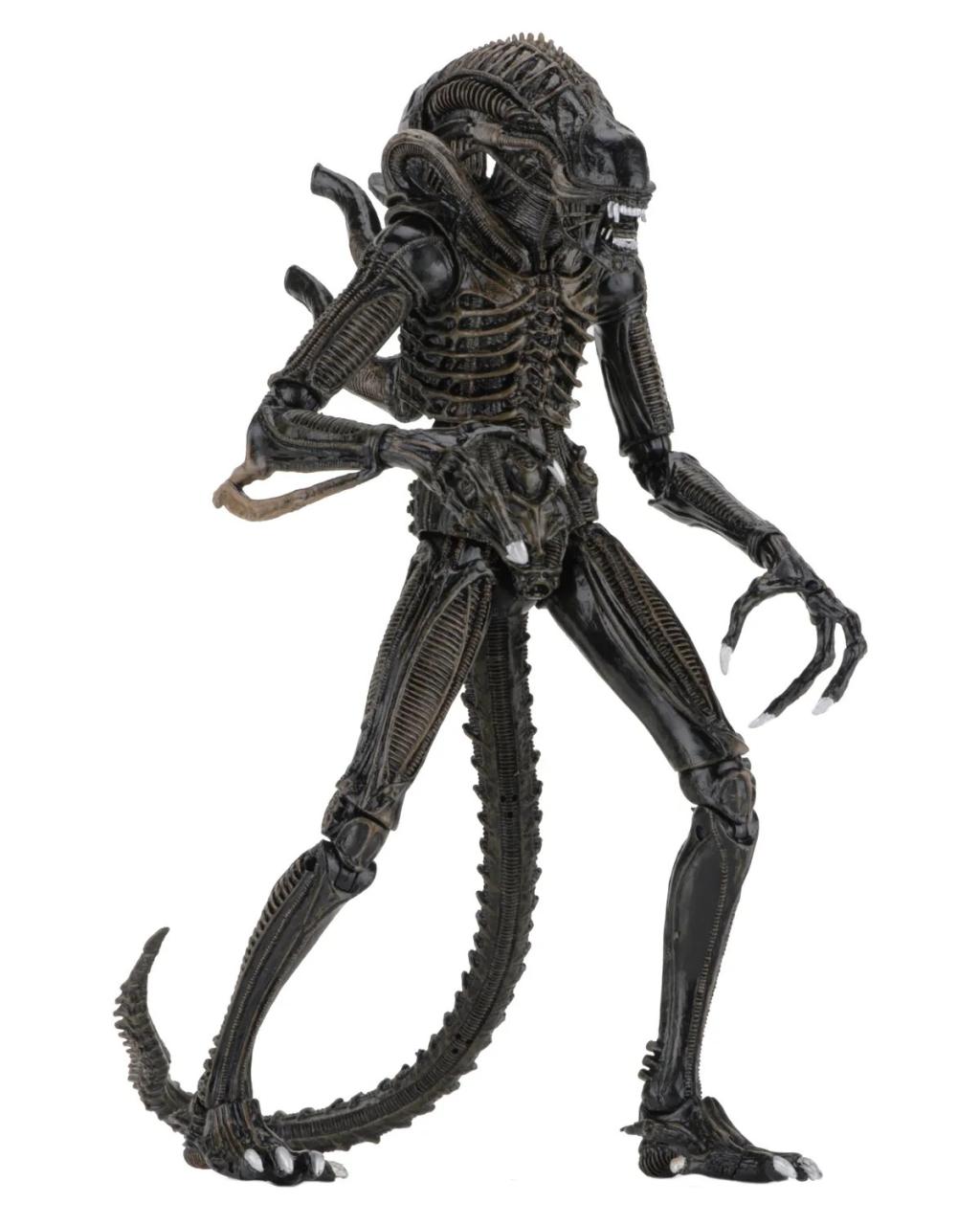 ALIENS - Warrior Alien Brown - Figure Ultimate 23cm - 5