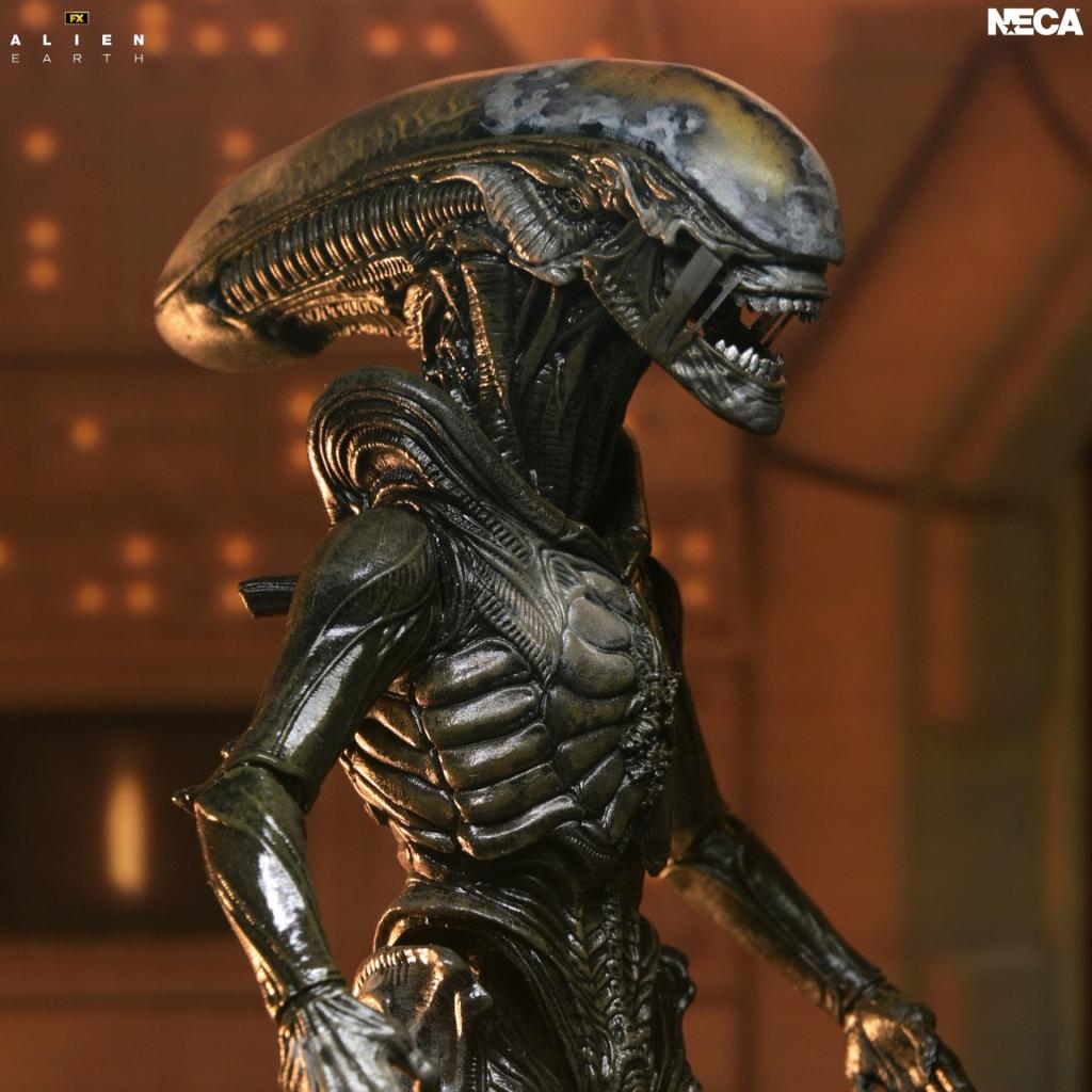 ALIEN EARTH - Wendy Xenomorph - Figurine Ultimate 17cm - 2