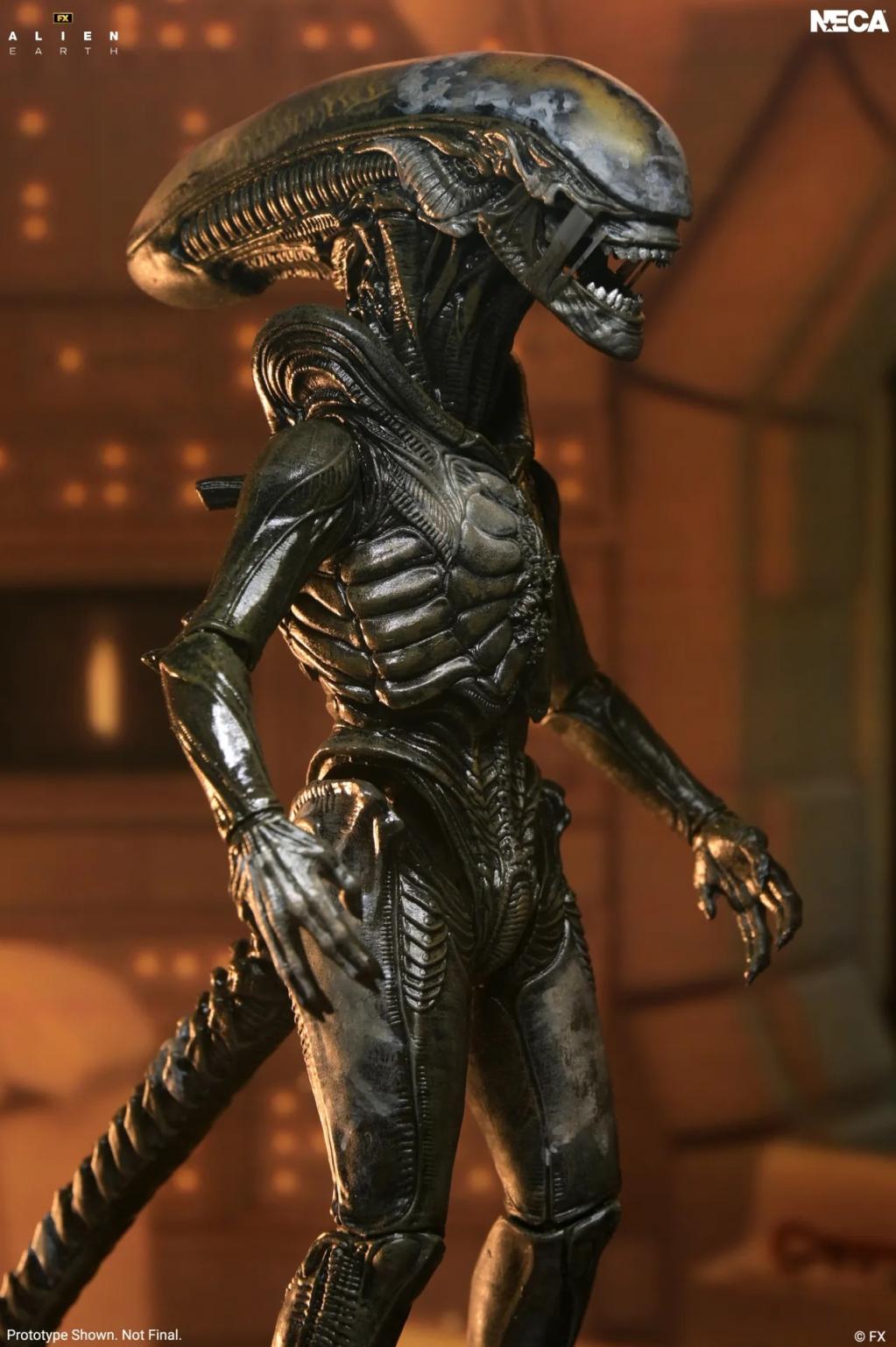 ALIEN EARTH - Wendy Xenomorph - Figurine Ultimate 17cm - 3