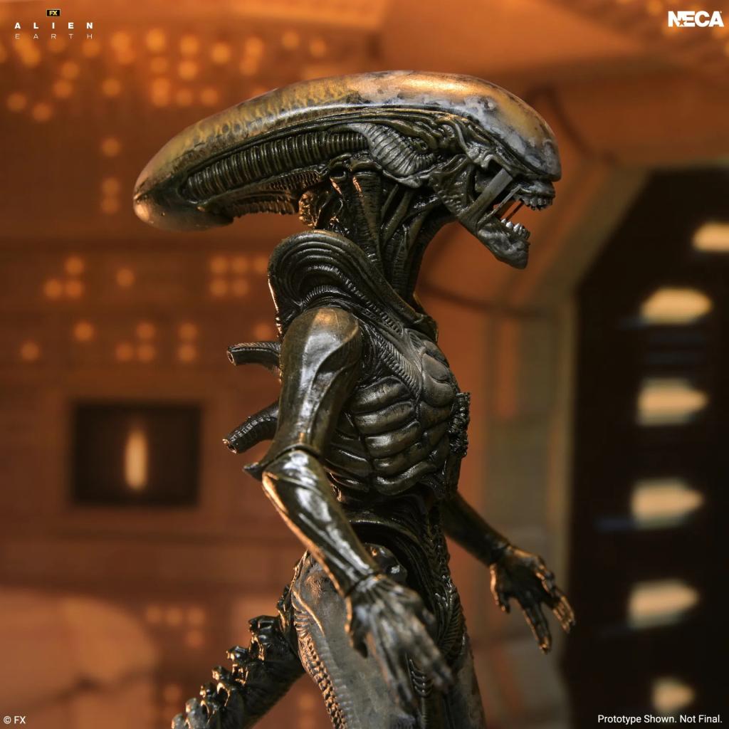 ALIEN EARTH - Wendy Xenomorph - Figurine Ultimate 17cm - 4