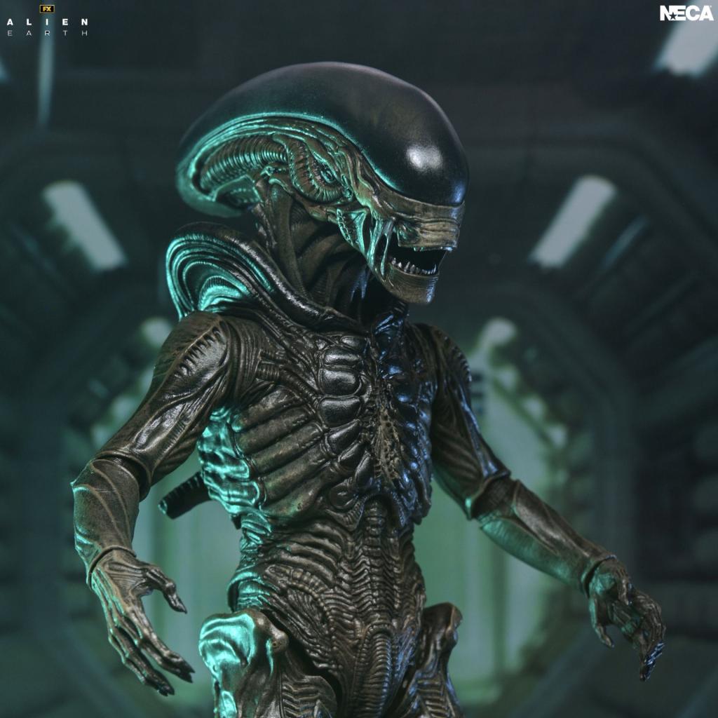 ALIEN EARTH - Xenomorph - Figurine Ultimate 17cm - 2