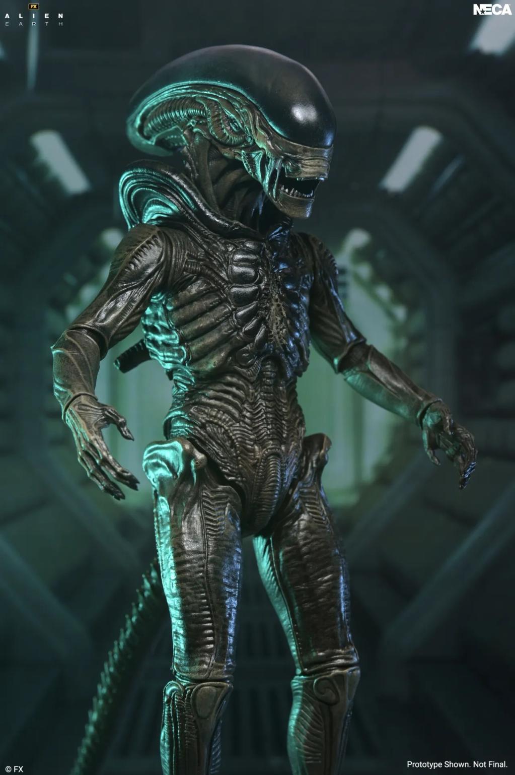 ALIEN EARTH - Xenomorph - Figurine Ultimate 17cm - 3