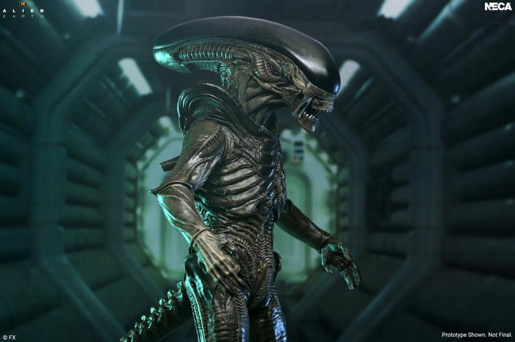 ALIEN EARTH - Xenomorph - Figurine Ultimate 17cm - 4