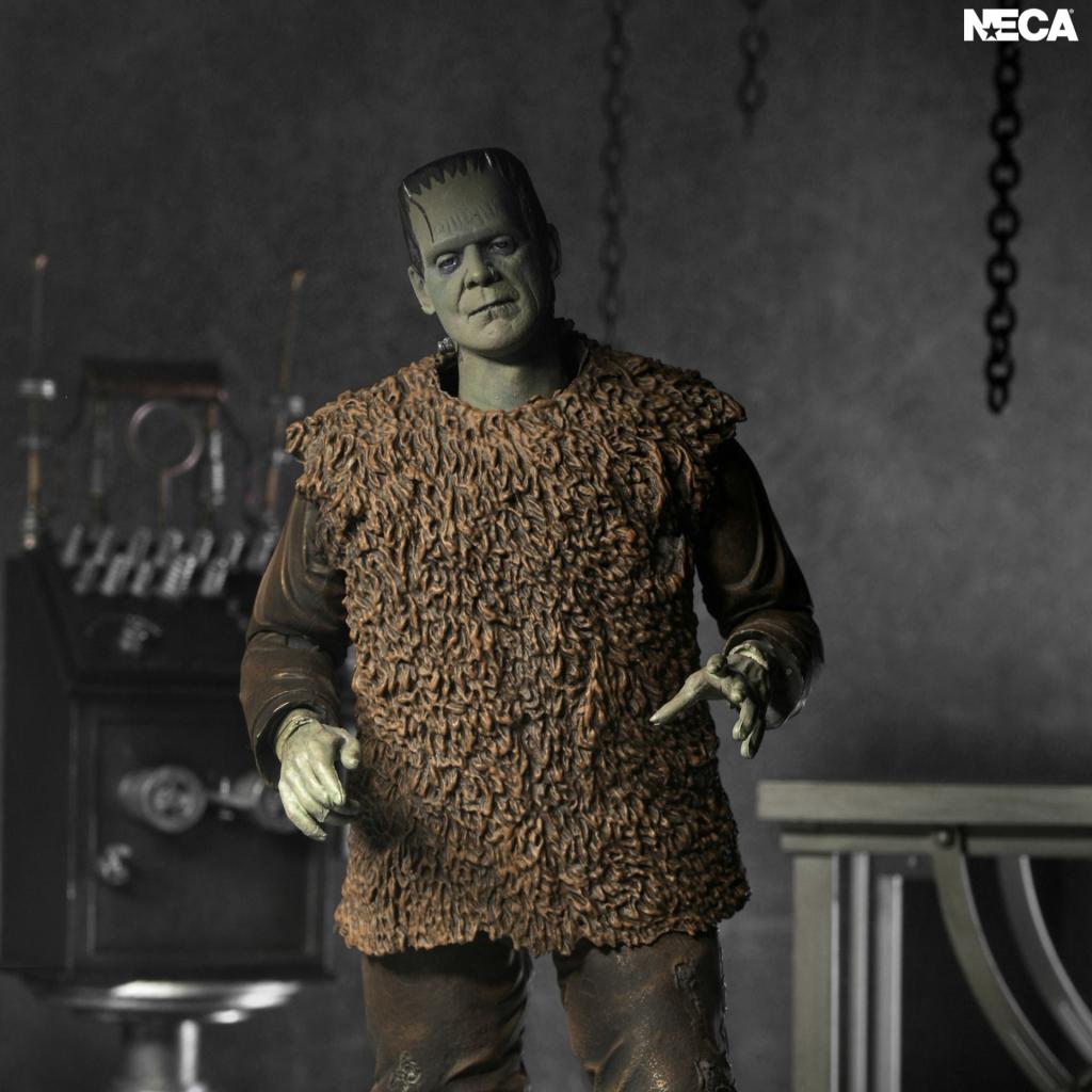 UNIVERSAL MONSTERS - Monstre de Frankenstein - Figurine Ultimate 17cm - 2