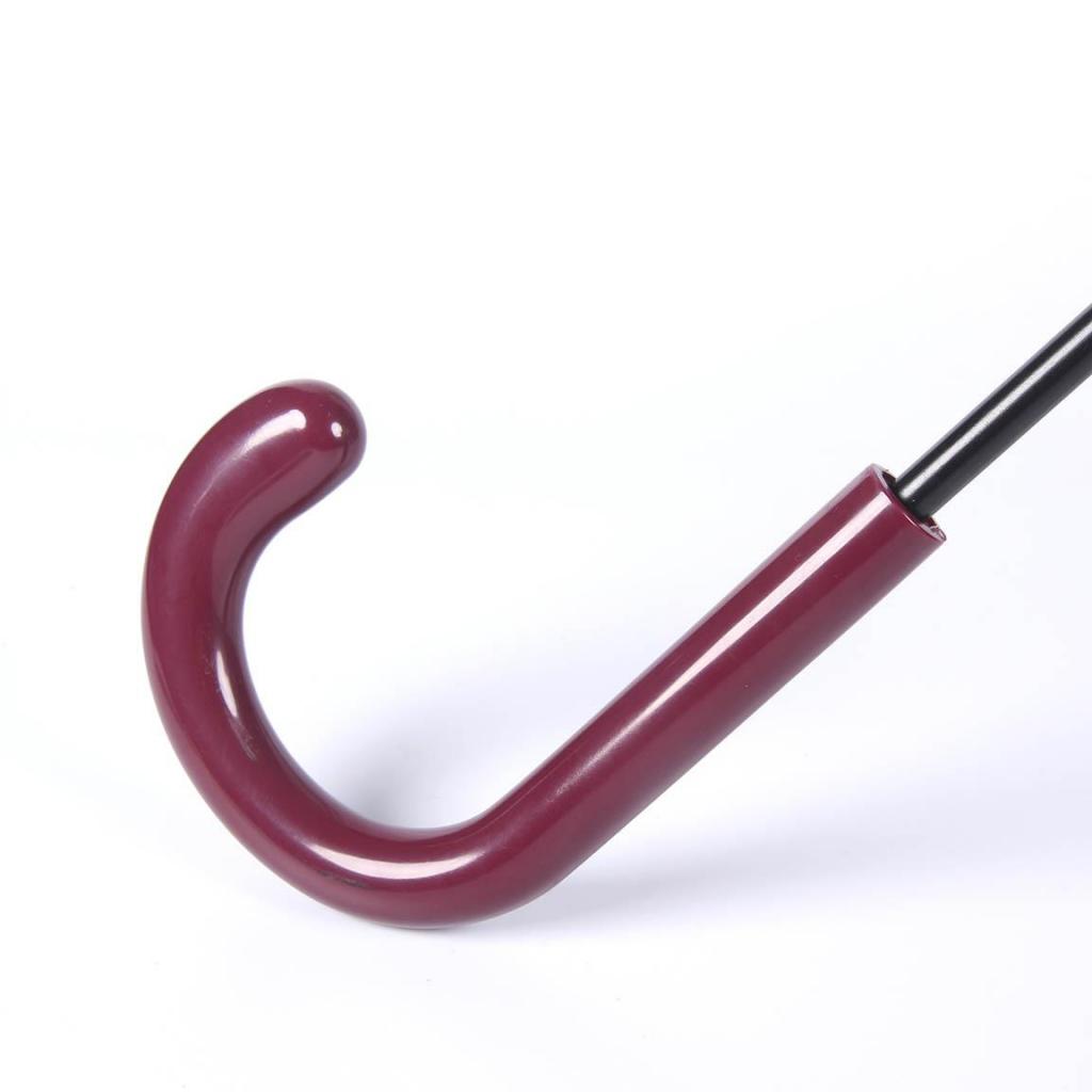 HARRY POTTER - Emblème Gryffondor - Parapluie - 60 cm - 2