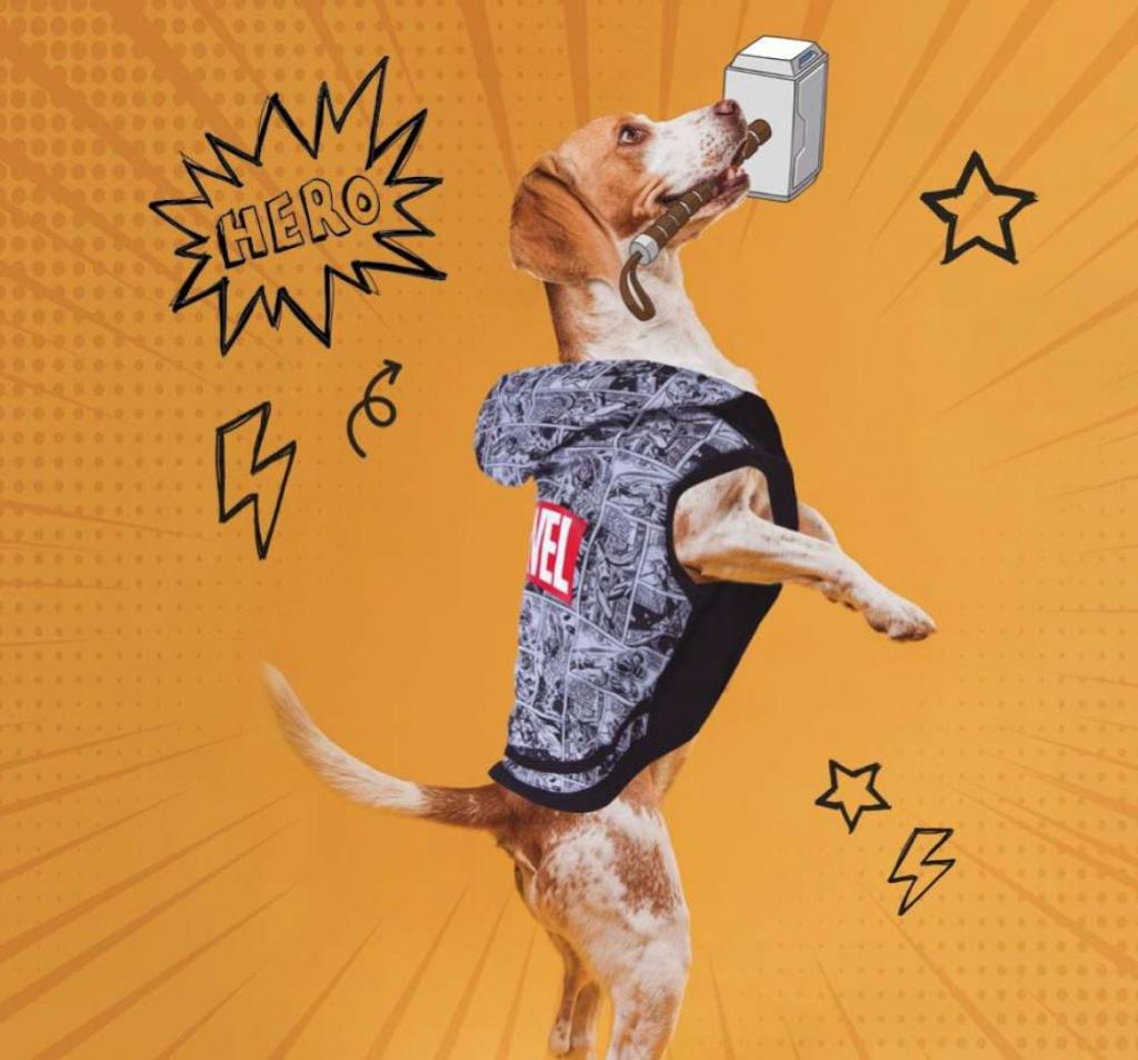 MARVEL Dog Hoodie XS Animal accessories Cerda Marvel