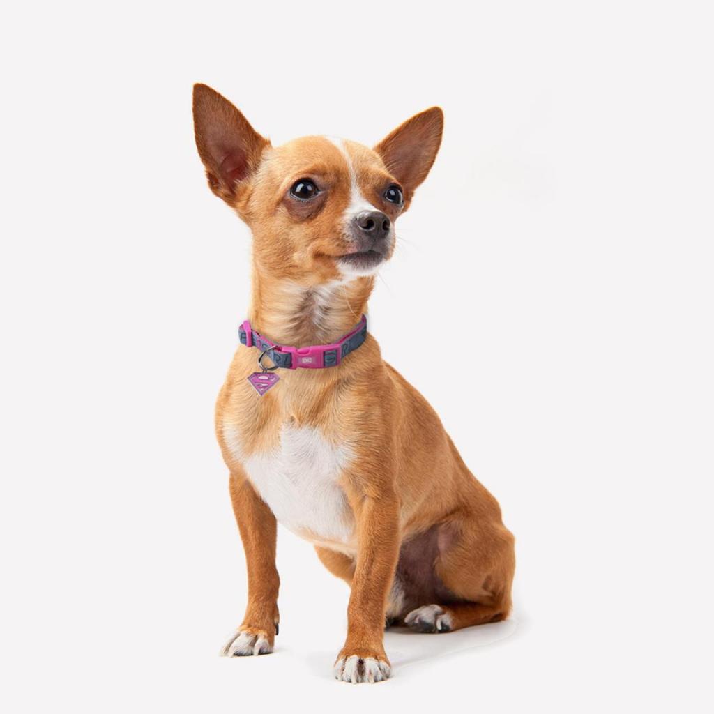 SUPERGIRL - Collier pour Chien - XS - 3