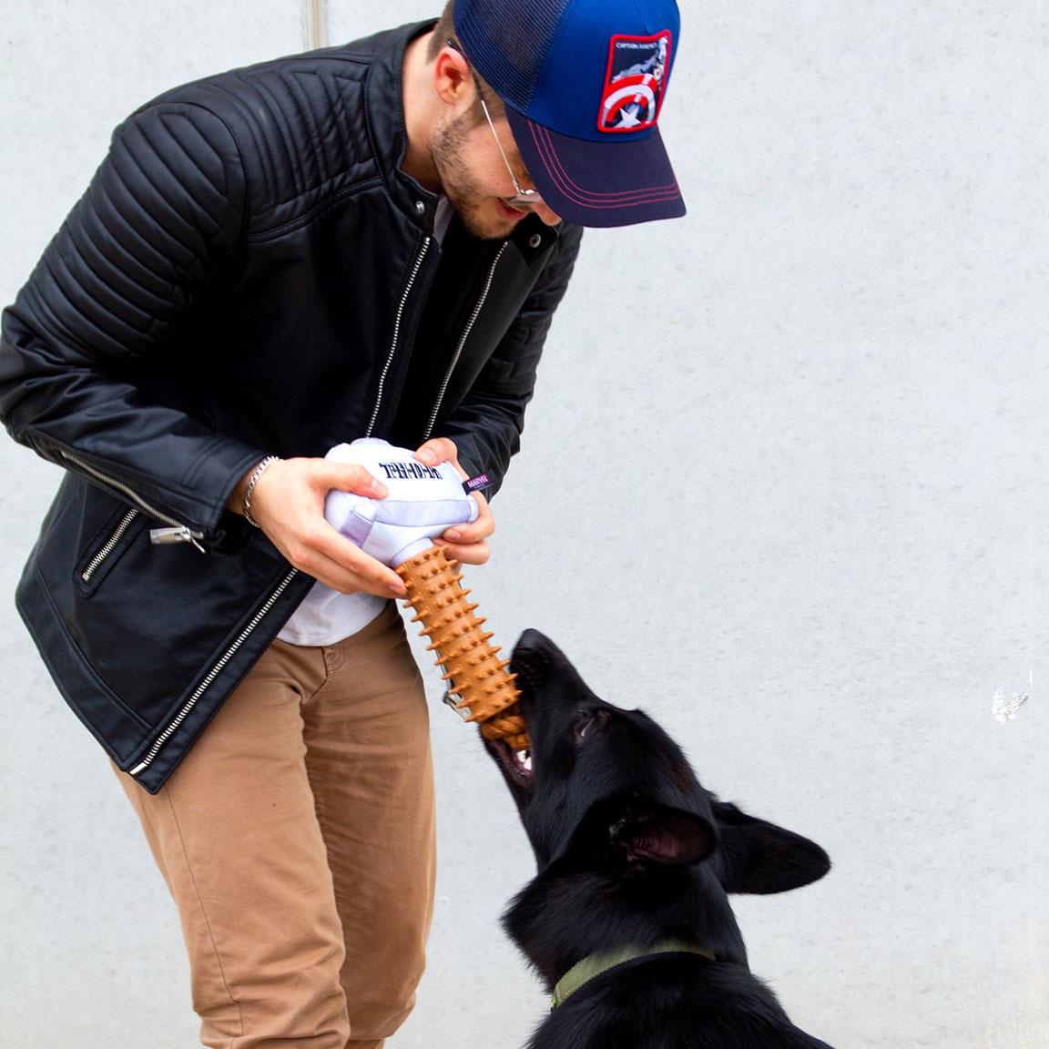 thor dog toy
