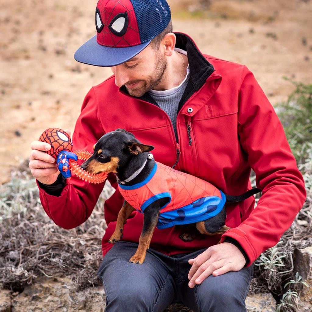 SPIDERMAN - Jouet - Anneau de Dentition pour Chien - 5