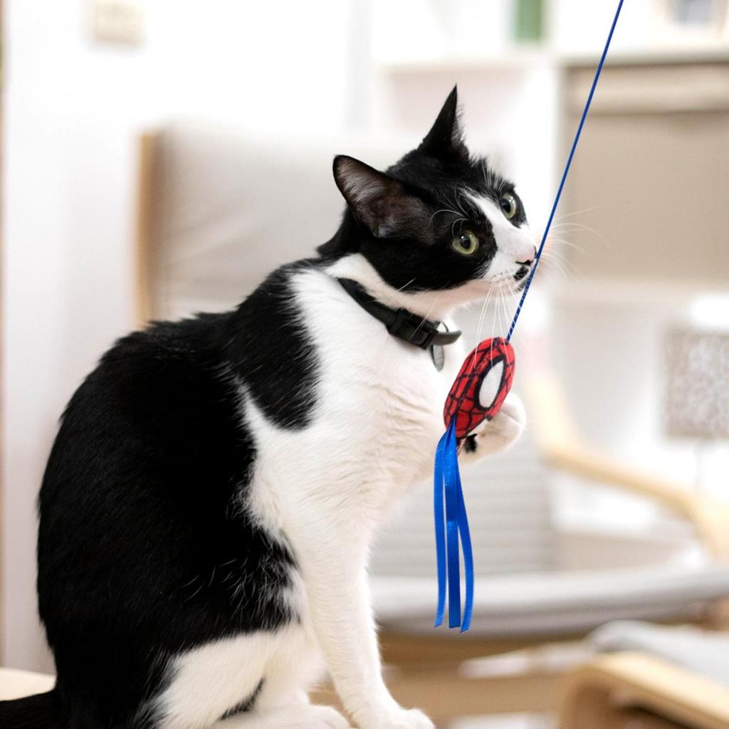 SPIDERMAN - Jouet - Canne à Pêche pour Chat - 4
