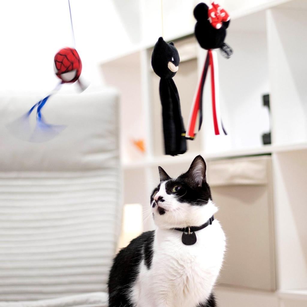SPIDERMAN - Jouet - Canne à Pêche pour Chat - 5
