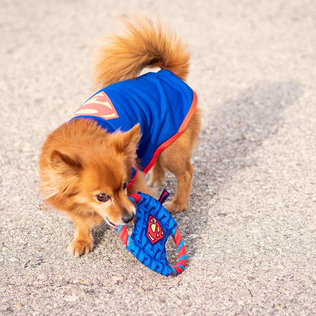 SPIDERMAN - Jouet en Corde pour Chien - Spiderman - 5
