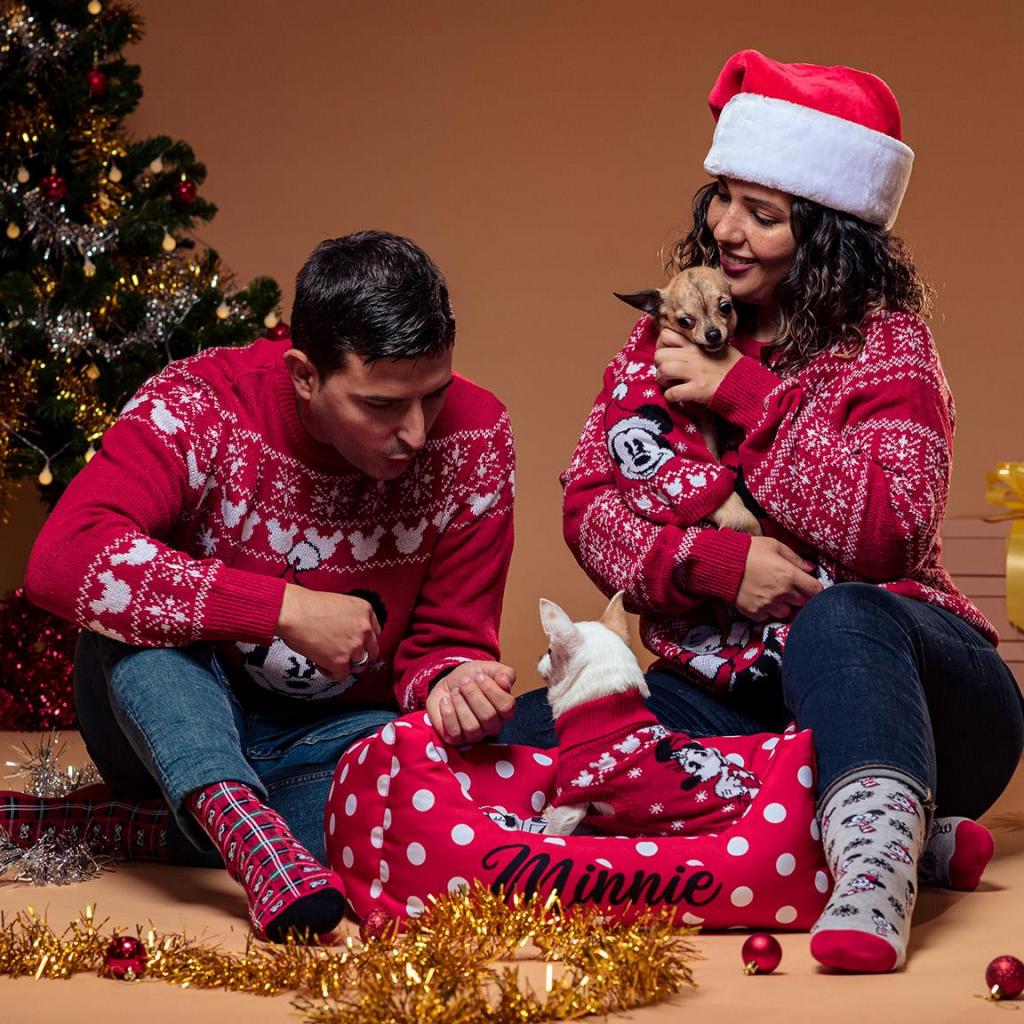 MICKEY - Pull en Tricot pour Chien - XXS - 4