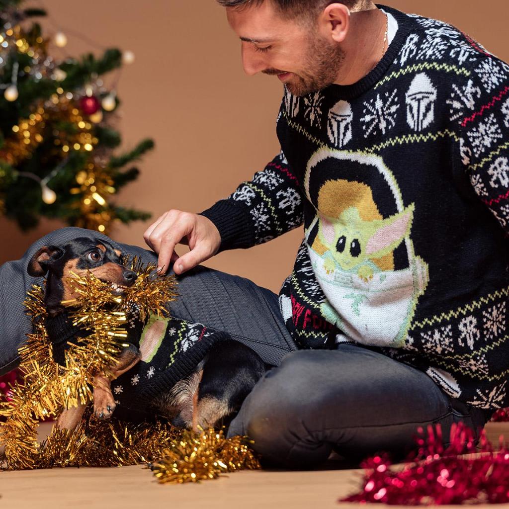 THE CHILD - Pull en Tricot pour Chien - S - 5