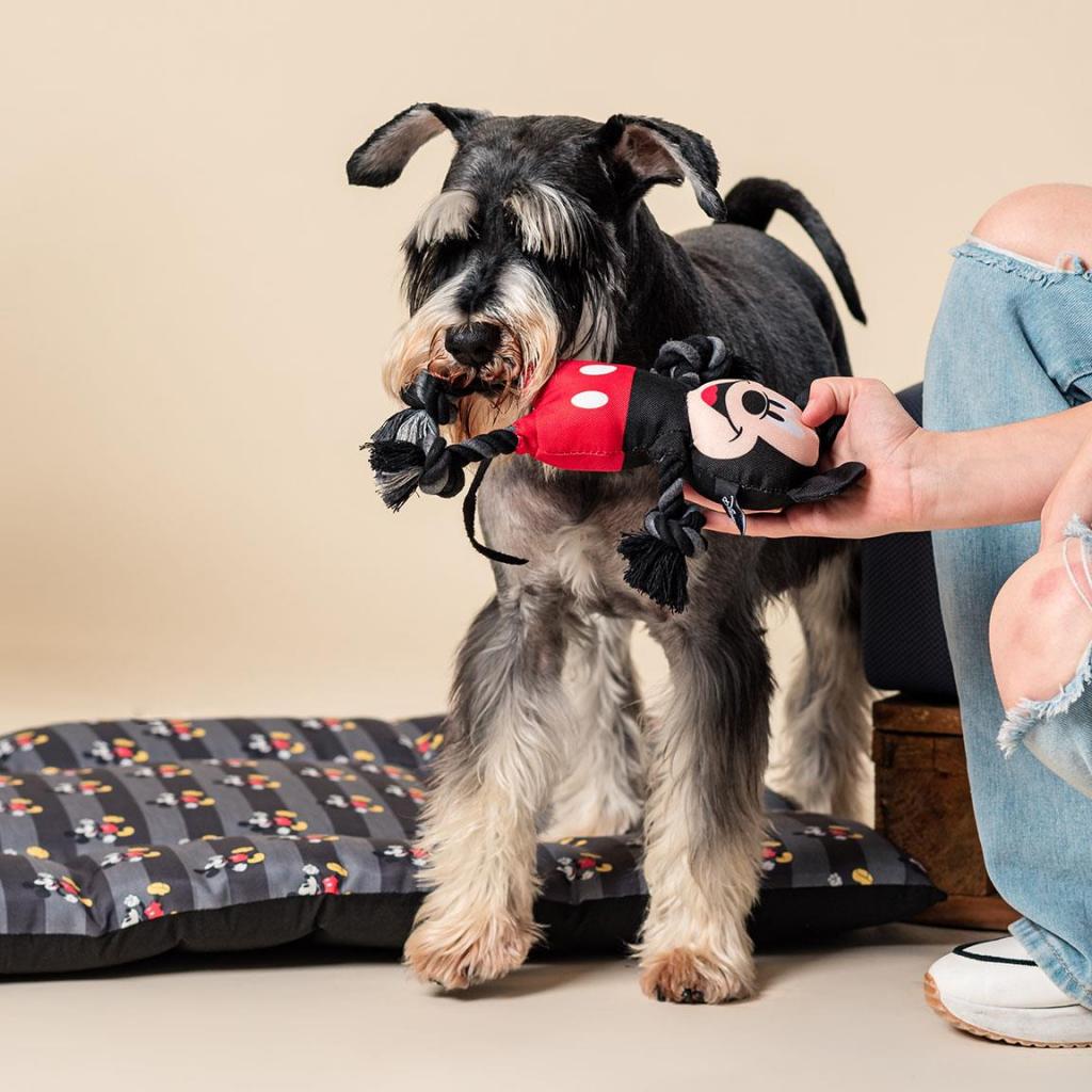 MICKEY - Jouet en Corde pour Chien - Mickey - 4