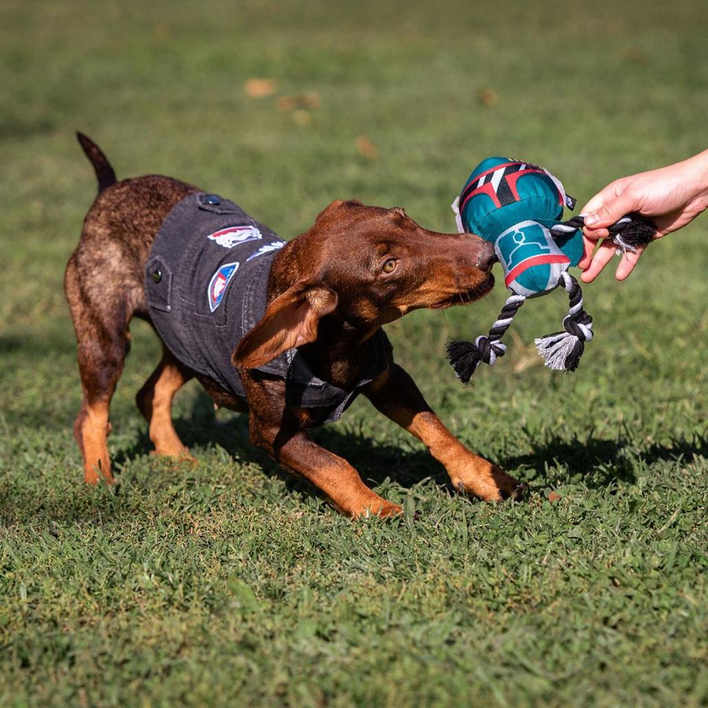 STAR WARS - Jouet en Corde pour Chien - Boba Fett - 5