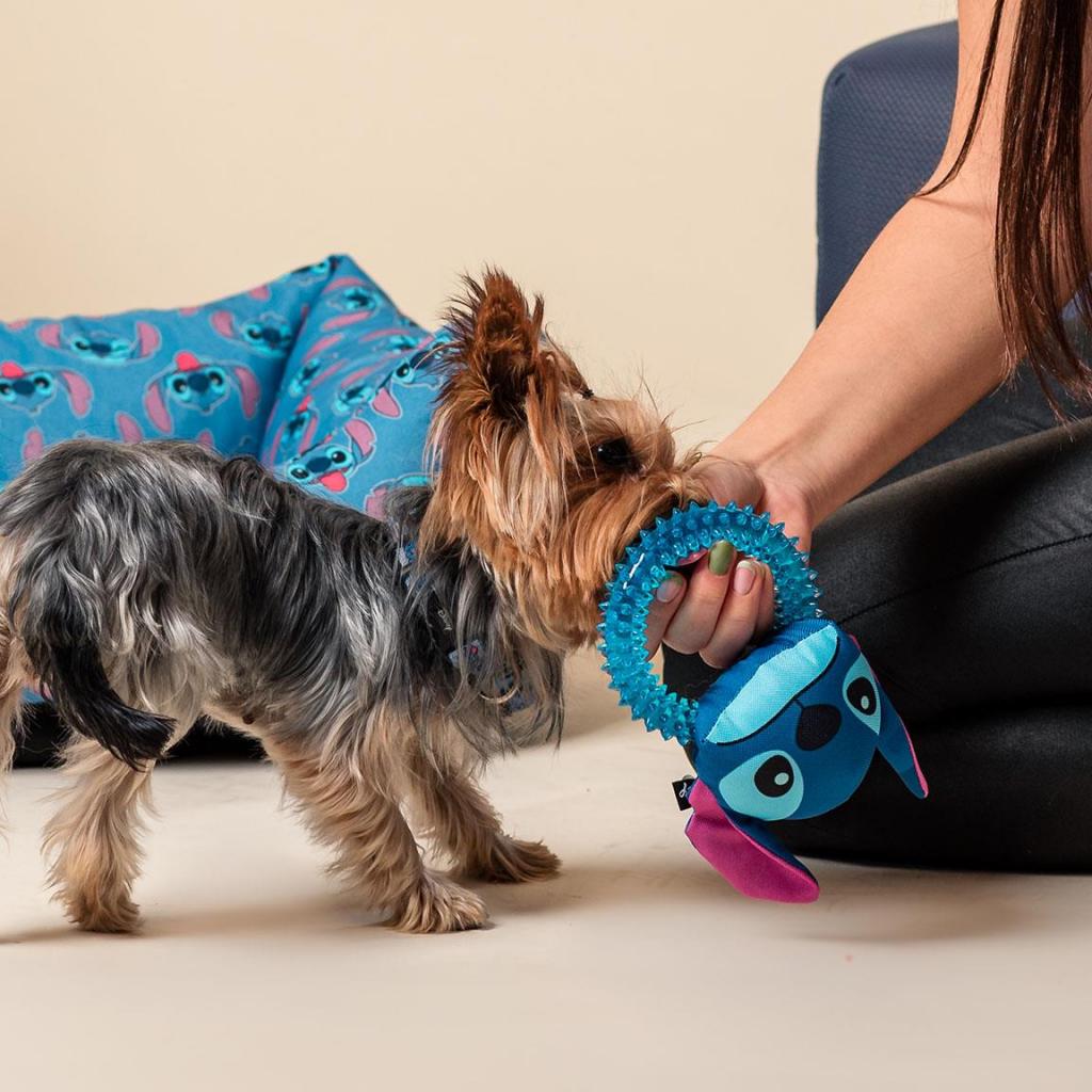 LILO & STITCH - Jouet - Anneau de Dentition pour Chien - 4