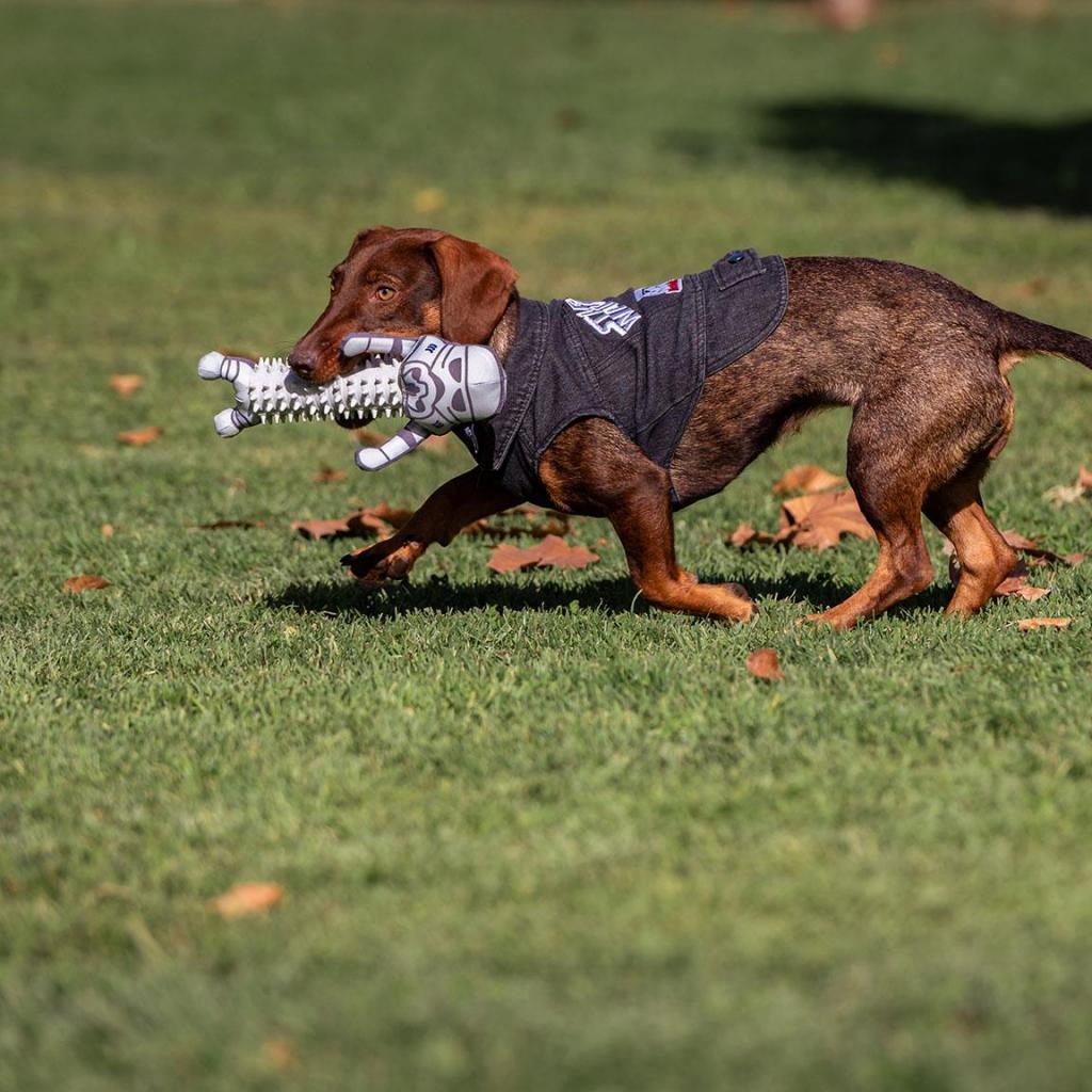 STAR WARS - Stormtrooper - Teething Toy for Dog - 4