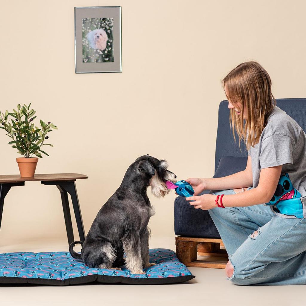 LILO & STITCH - Matelas pour Chien - S (75 X 60 X 4 CM) - 4