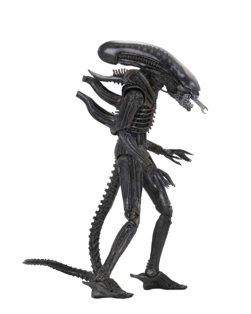 ALIEN - Big Chap 40th Anniversary - Ultimate Figure 22cm - 3