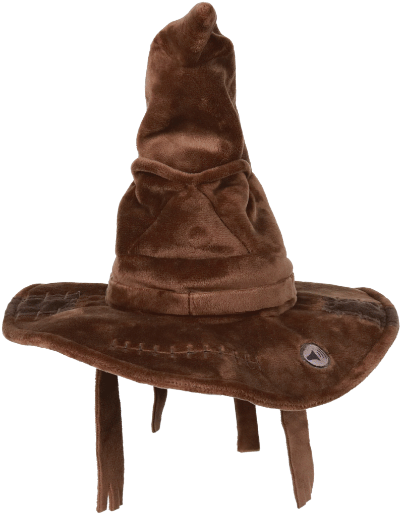 Image agrandie