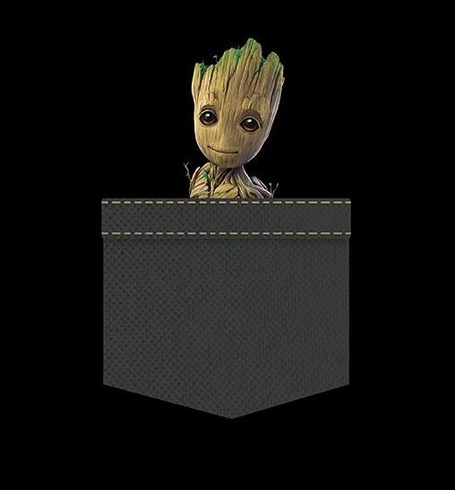 MARVEL - T-Shirt Pocket Groot 'New Fit' - Black (S) - 2
