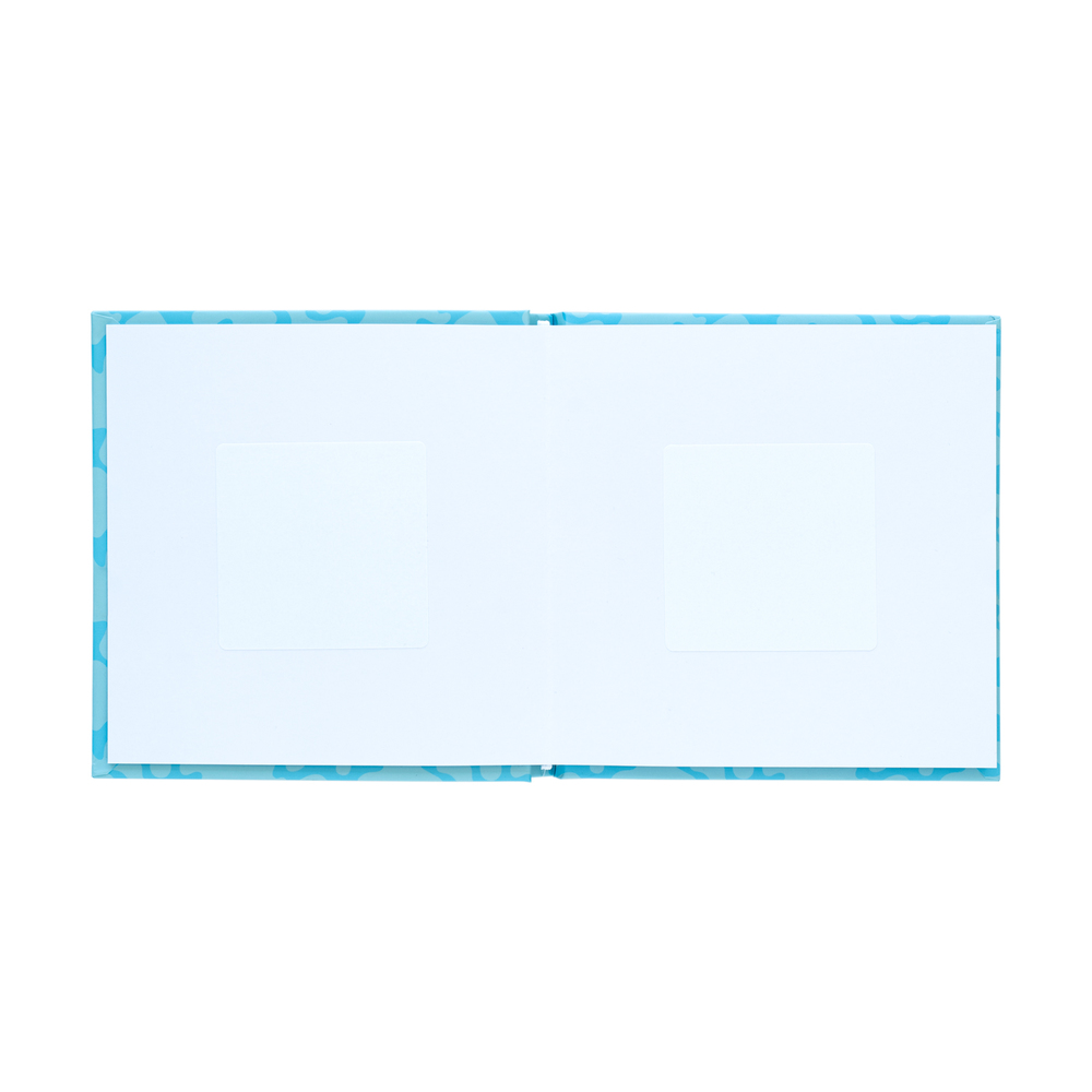 Image agrandie