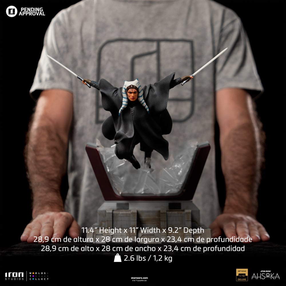 Image agrandie