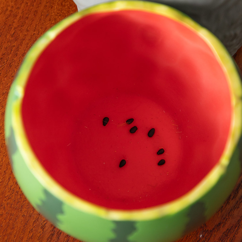 MON VOISIN TOTORO - Totoro Pastèque - Diorama Planter 16.5x13.5x18.5cm