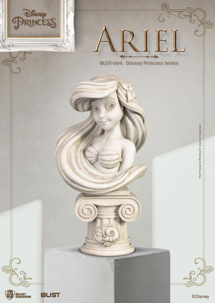 Image agrandie