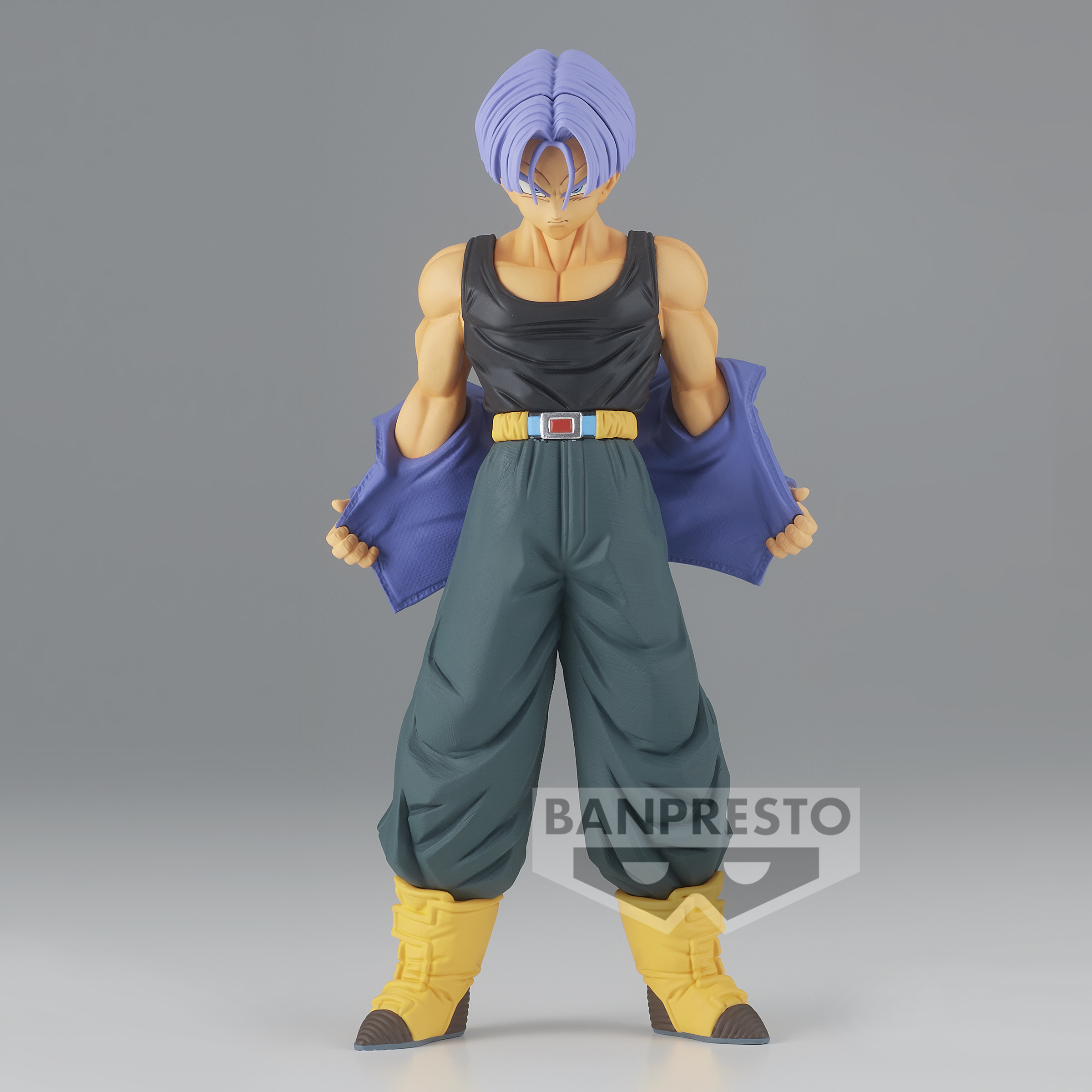 BEMS DRAGON BALL Z Trunks Figurine Solid Edge Works 21cm