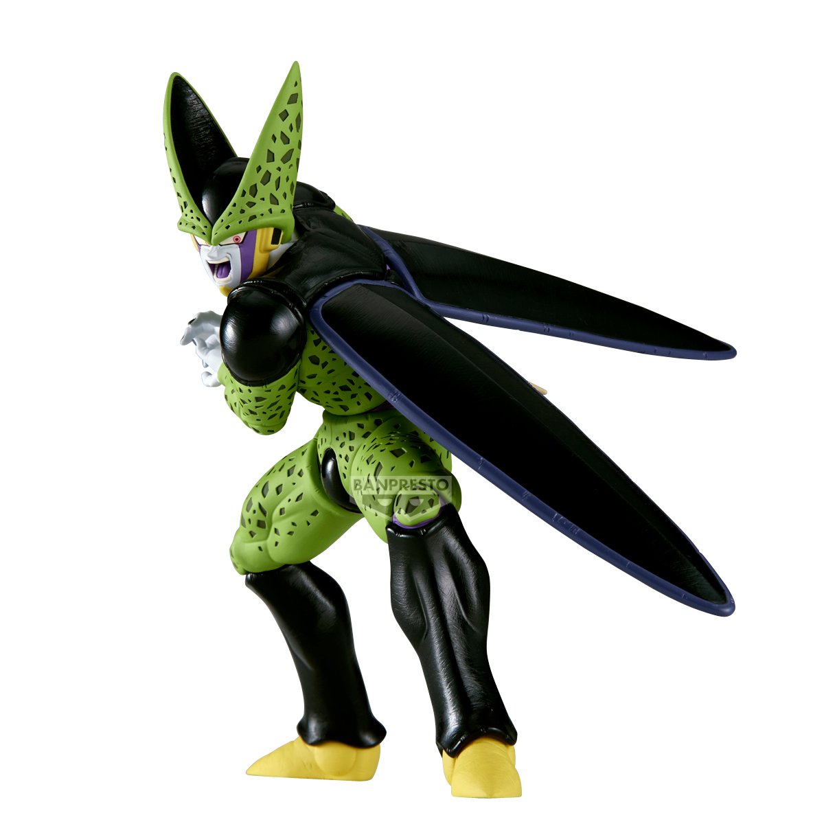 Image agrandie