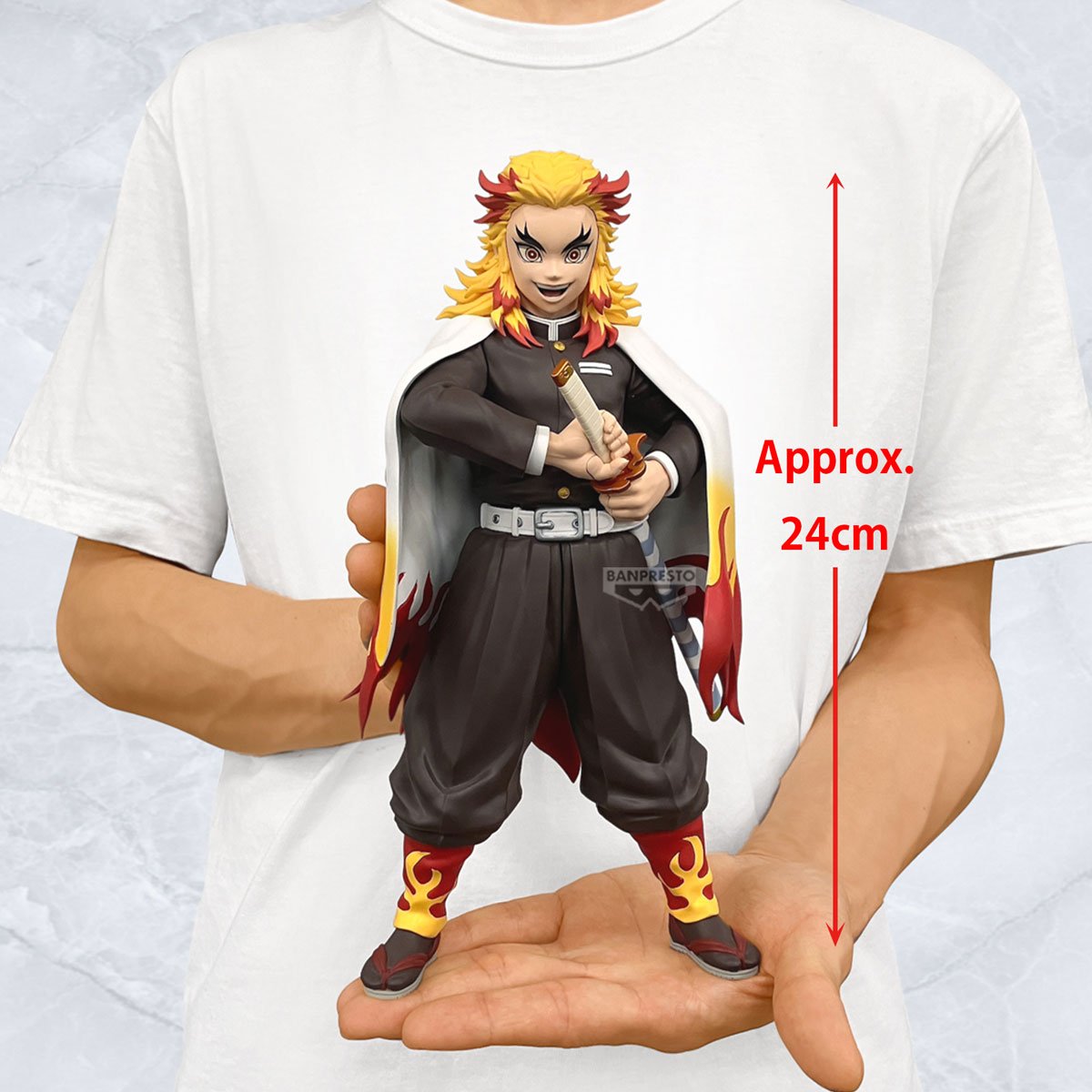 Image agrandie
