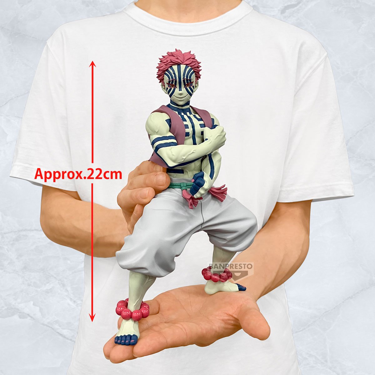 Image agrandie