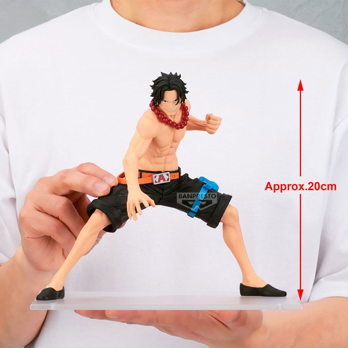 Image agrandie