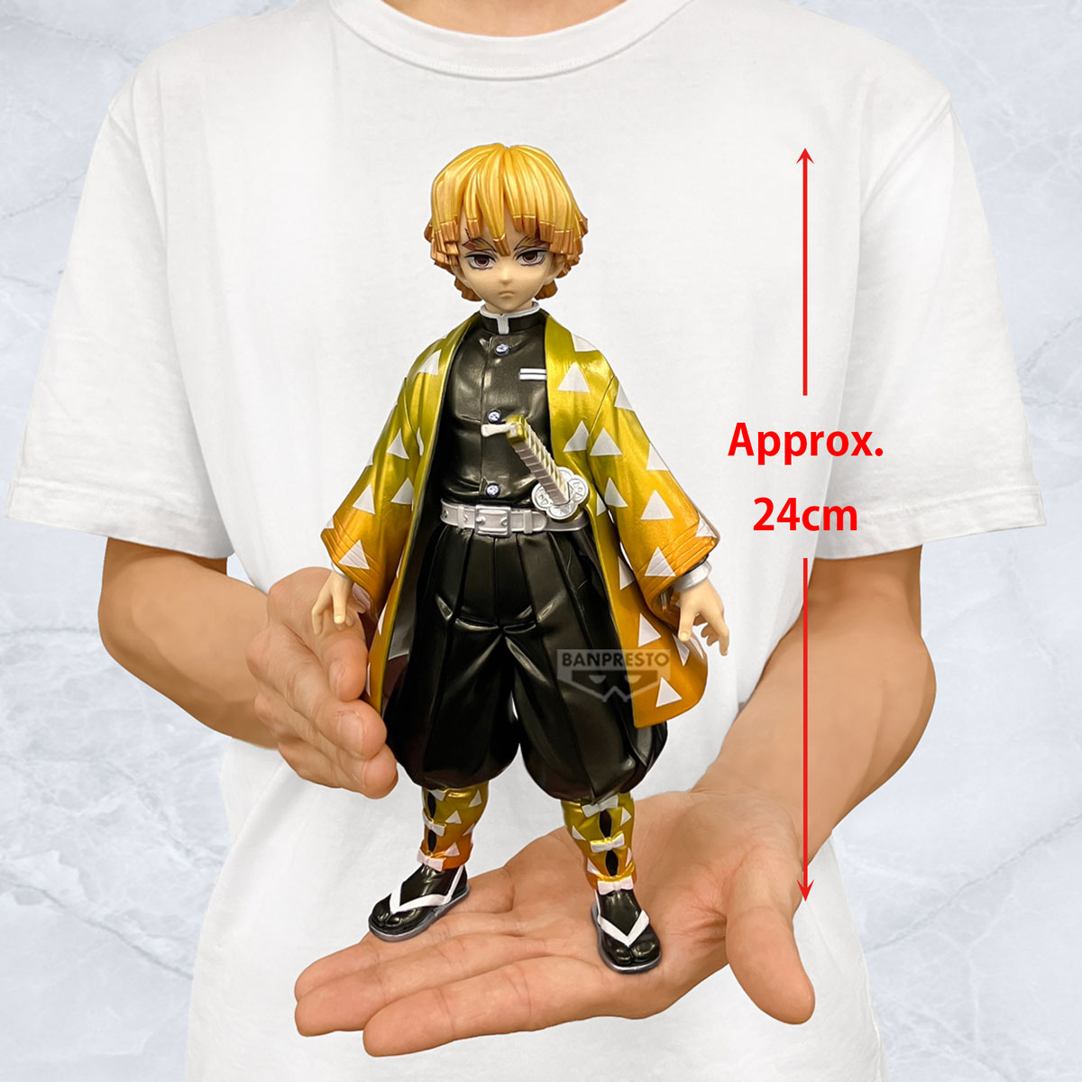 Image agrandie