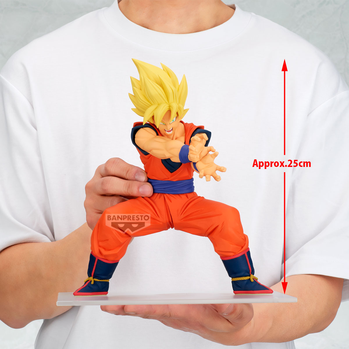 Image agrandie