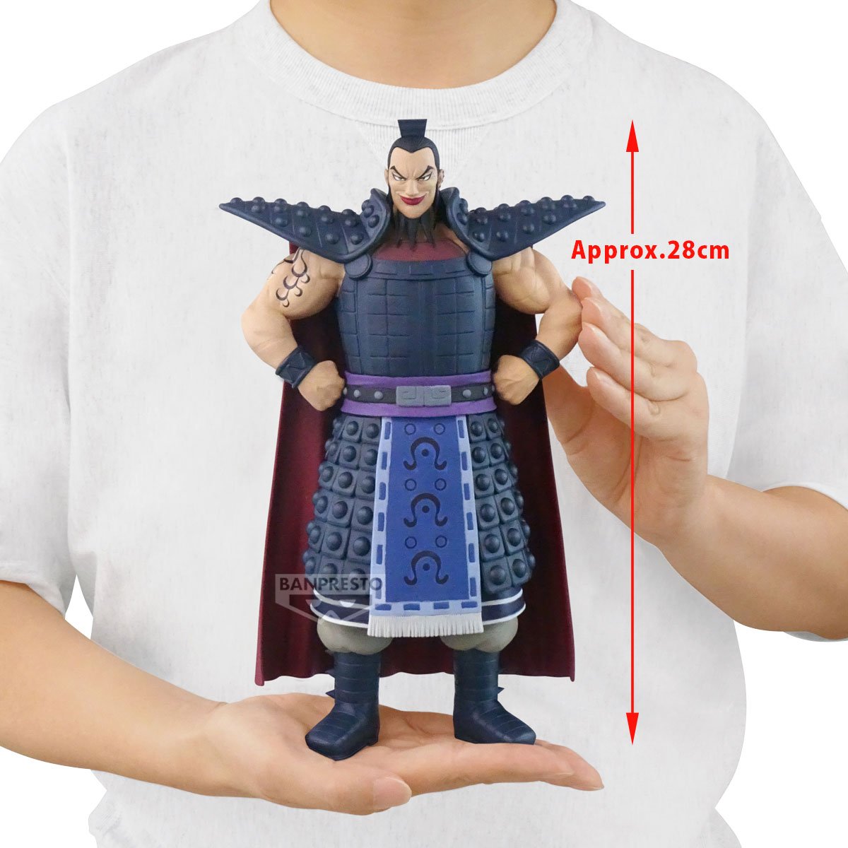 Image agrandie