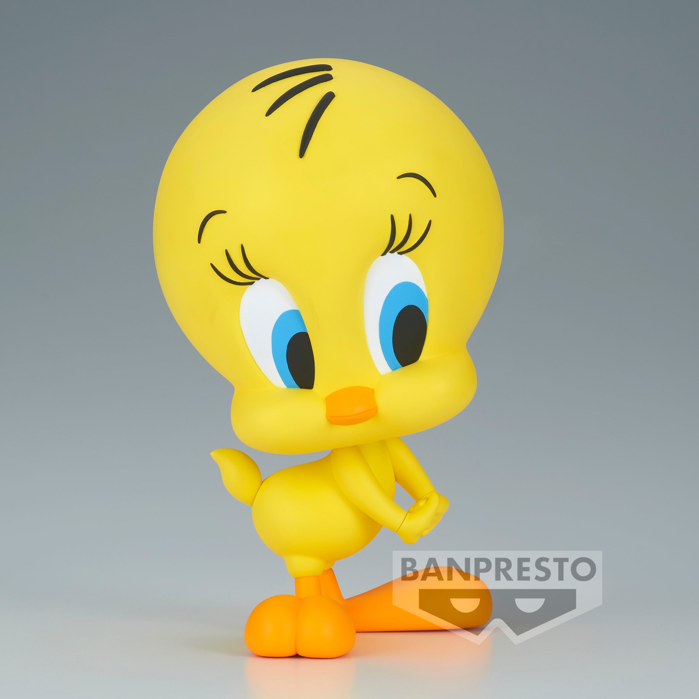 Image agrandie