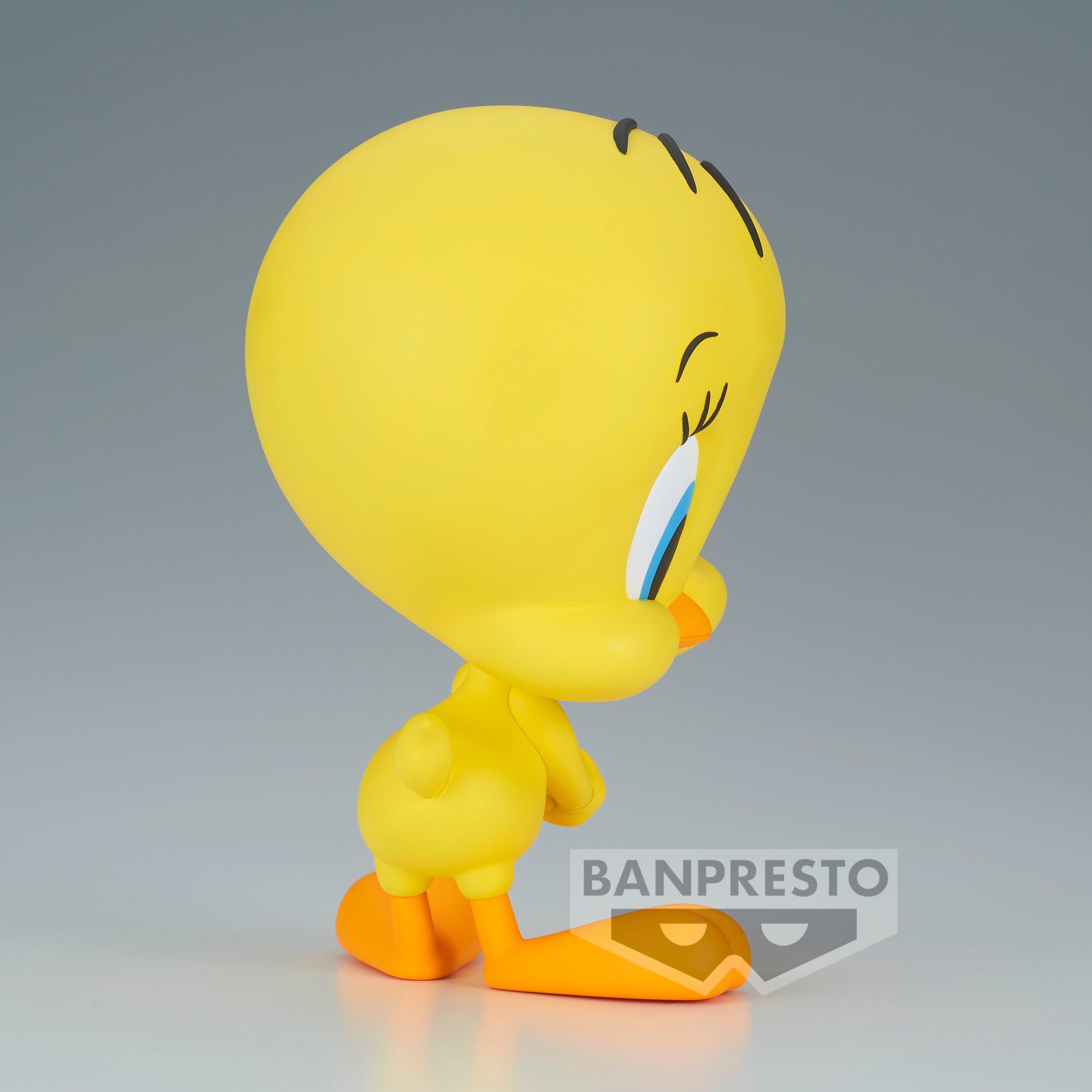 Image agrandie