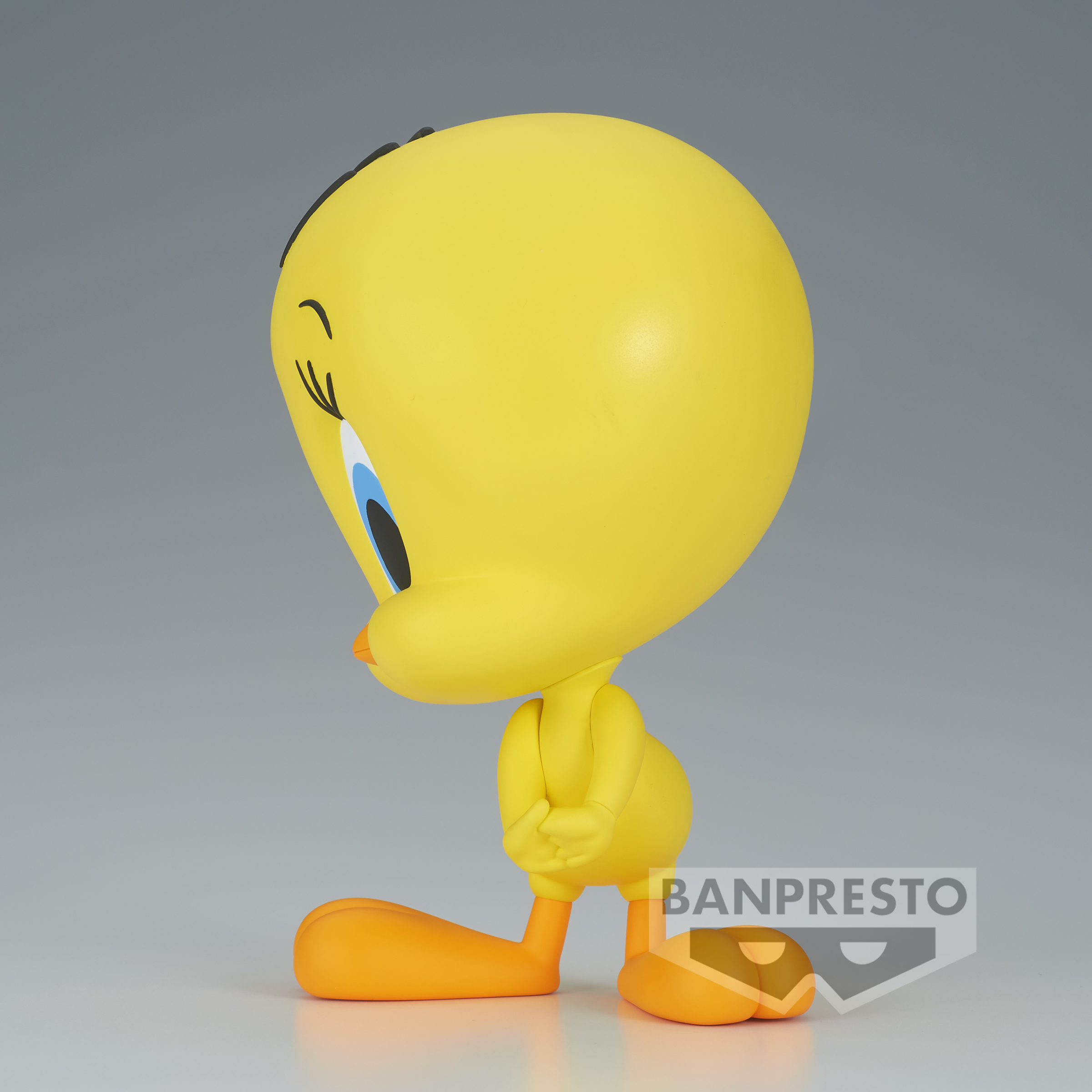 Image agrandie