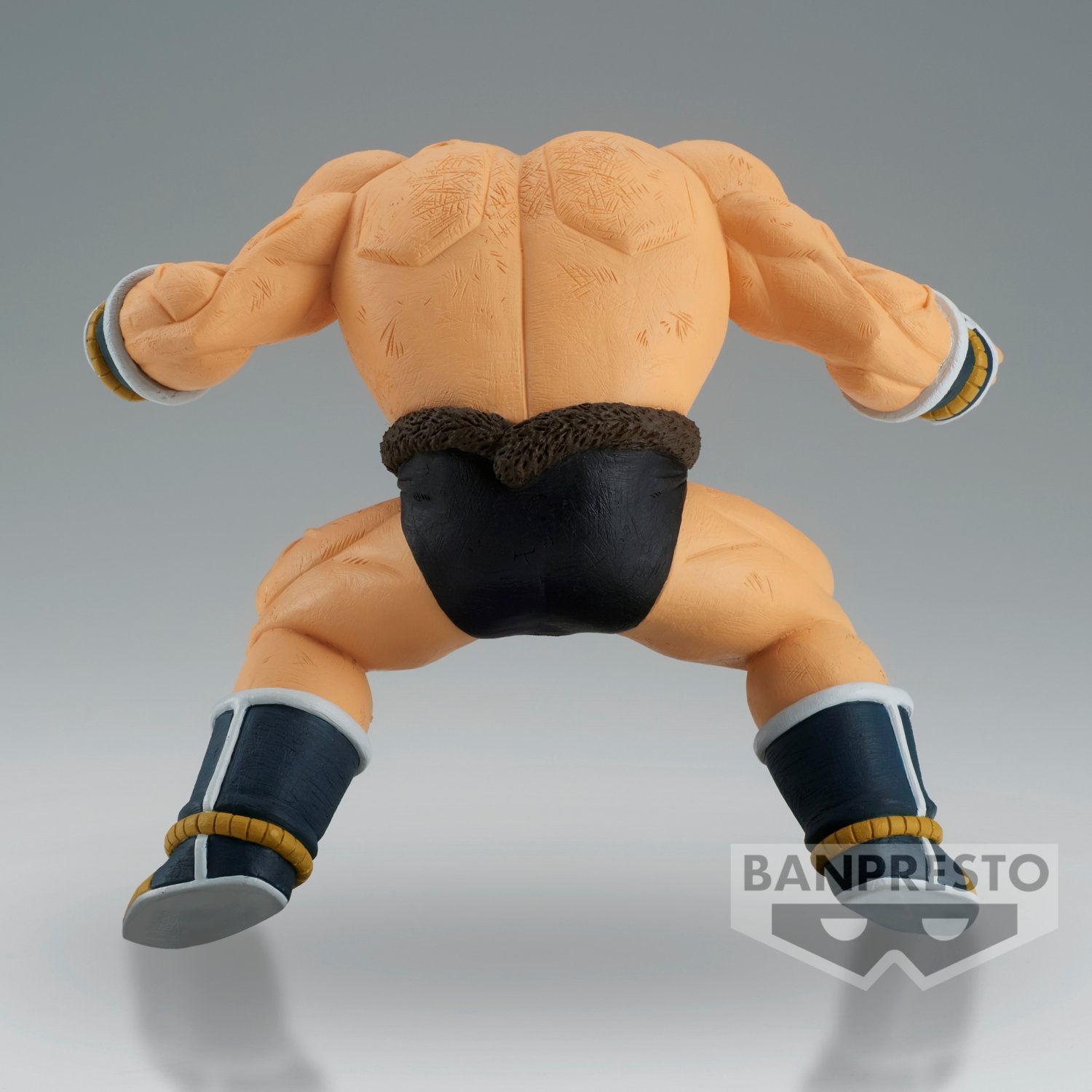 Image agrandie