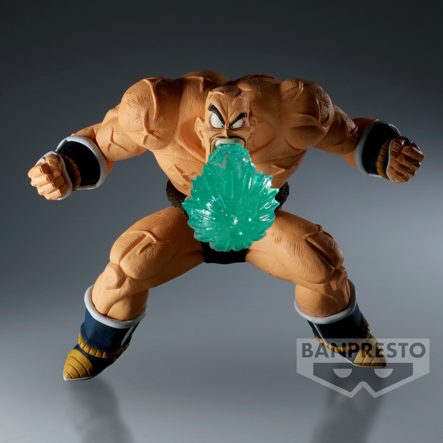 Image agrandie
