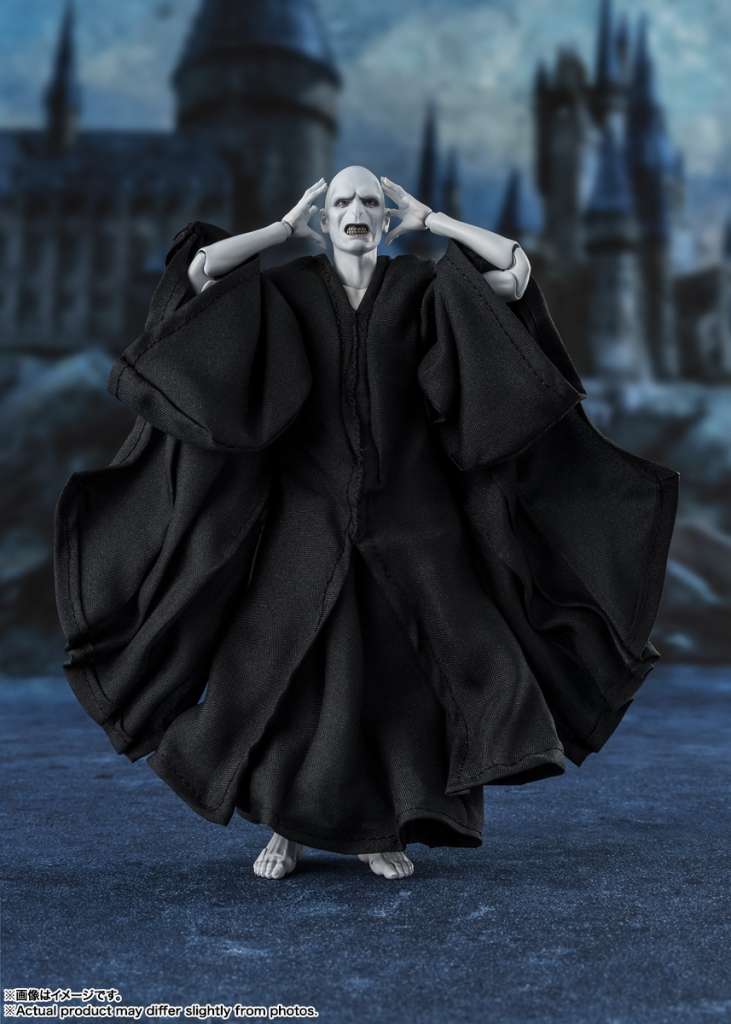 Image agrandie